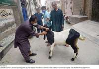 Filename=Pic18-013~26.jpg
Filesize=324KiB
Dimensions=2047x1446
Date added=Jul 18, 2020 Pic18-013~26.jpg