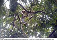 Filename=Pic18-024~26.jpg
Filesize=410KiB
Dimensions=2048x1448
Date added=Jul 18, 2020 Pic18-024~26.jpg