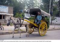 Filename=Pic18-031~25.jpg
Filesize=396KiB
Dimensions=2048x1441
Date added=Jul 18, 2020 Pic18-031~25.jpg