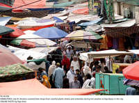 Filename=Pic18-036~33.jpg
Filesize=508KiB
Dimensions=2047x1515
Date added=Jul 18, 2021 Pic18-036~33.jpg