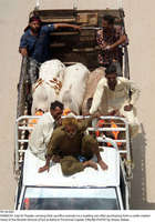 Filename=Pic18-044~32.jpg
Filesize=325KiB
Dimensions=1435x2048
Date added=Jul 18, 2021 Pic18-044~32.jpg
