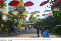 Filename=Pic18-055~24.jpg
Filesize=483KiB
Dimensions=2047x1402
Date added=Oct 18, 2020 Pic18-055~24.jpg