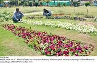 Filename=Pic18-060~11.jpg
Filesize=548KiB
Dimensions=1800x1174
Date added=Apr 18, 2019 Pic18-060~11.jpg