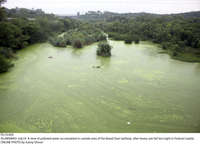 Filename=Pic19-004~37.jpg
Filesize=325KiB
Dimensions=2047x1477
Date added=Jul 19, 2021 Pic19-004~37.jpg