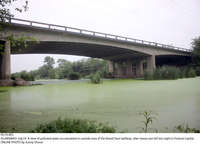 Filename=Pic19-005~38.jpg
Filesize=285KiB
Dimensions=2048x1477
Date added=Jul 19, 2021 Pic19-005~38.jpg