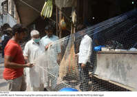Filename=Pic19-010~28.jpg
Filesize=484KiB
Dimensions=2047x1449
Date added=Sep 19, 2020 Pic19-010~28.jpg