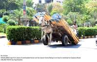 Filename=Pic19-024~23.jpg
Filesize=369KiB
Dimensions=2048x1308
Date added=Apr 19, 2020 Pic19-024~23.jpg