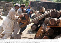 Filename=Pic19-026~28.jpg
Filesize=463KiB
Dimensions=2048x1442
Date added=Sep 19, 2020 Pic19-026~28.jpg