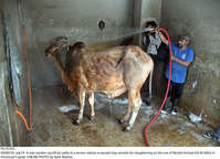 Filename=Pic19-033~39.jpg
Filesize=418KiB
Dimensions=2047x1478
Date added=Jul 19, 2021 Pic19-033~39.jpg