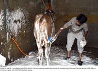 Filename=Pic19-034~39.jpg
Filesize=375KiB
Dimensions=2047x1479
Date added=Jul 19, 2021 Pic19-034~39.jpg