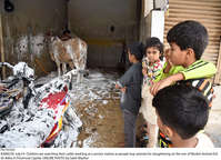 Filename=Pic19-035~39.jpg
Filesize=431KiB
Dimensions=2047x1478
Date added=Jul 19, 2021 Pic19-035~39.jpg