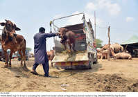 Filename=Pic19-042~38.jpg
Filesize=471KiB
Dimensions=2048x1441
Date added=Jul 19, 2021 Pic19-042~38.jpg