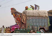Filename=Pic19-044~30.jpg
Filesize=355KiB
Dimensions=2048x1429
Date added=Oct 19, 2020 Pic19-044~30.jpg