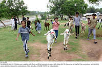 Filename=Pic19-056~32.jpg
Filesize=530KiB
Dimensions=2047x1349
Date added=Jul 19, 2021 Pic19-056~32.jpg