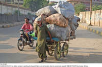 Filename=Pic19-067~19.jpg
Filesize=411KiB
Dimensions=2047x1353
Date added=Oct 19, 2020 Pic19-067~19.jpg