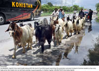 Filename=Pic20-004~37.jpg
Filesize=477KiB
Dimensions=2048x1477
Date added=Jul 20, 2021 Pic20-004~37.jpg