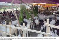 Filename=Pic20-005~26.jpg
Filesize=360KiB
Dimensions=2047x1387
Date added=Jul 20, 2020 Pic20-005~26.jpg