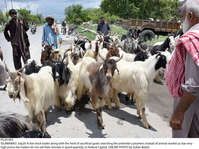 Filename=Pic20-005~36.jpg
Filesize=552KiB
Dimensions=2047x1532
Date added=Jul 20, 2021 Pic20-005~36.jpg