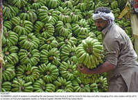 Filename=Pic20-007~37.jpg
Filesize=455KiB
Dimensions=2047x1479
Date added=Jul 20, 2021 Pic20-007~37.jpg