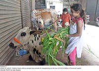 Filename=Pic20-017~38.jpg
Filesize=448KiB
Dimensions=2047x1477
Date added=Jul 20, 2021 Pic20-017~38.jpg