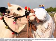 Filename=Pic20-033~26.jpg
Filesize=272KiB
Dimensions=2048x1482
Date added=Jul 20, 2020 Pic20-033~26.jpg