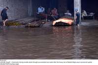 Filename=Pic20-037~26.jpg
Filesize=272KiB
Dimensions=2048x1349
Date added=Aug 20, 2020 Pic20-037~26.jpg