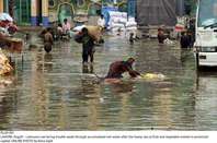 Filename=Pic20-041~26.jpg
Filesize=446KiB
Dimensions=2047x1351
Date added=Aug 20, 2020 Pic20-041~26.jpg