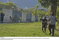 Filename=Pic20-043~35.jpg
Filesize=468KiB
Dimensions=2047x1409
Date added=Jul 20, 2021 Pic20-043~35.jpg