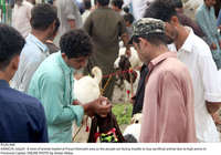 Filename=Pic20-048_Correction.jpg
Filesize=276KiB
Dimensions=2048x1437
Date added=Jul 20, 2021 Pic20-048_Correction.jpg