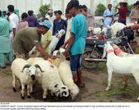 Filename=Pic20-049_Correction.jpg
Filesize=487KiB
Dimensions=2047x1624
Date added=Jul 20, 2021 Pic20-049_Correction.jpg