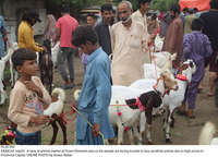 Filename=Pic20-050_Correction.jpg
Filesize=365KiB
Dimensions=2047x1475
Date added=Jul 20, 2021 Pic20-050_Correction.jpg