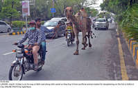 Filename=Pic20-062~30.jpg
Filesize=510KiB
Dimensions=2047x1315
Date added=Jul 20, 2021 Pic20-062~30.jpg