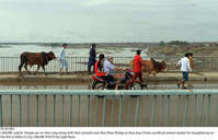 Filename=Pic20-063~28.jpg
Filesize=319KiB
Dimensions=2047x1315
Date added=Jul 20, 2021 Pic20-063~28.jpg
