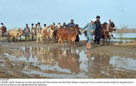 Filename=Pic20-065~27.jpg
Filesize=393KiB
Dimensions=2047x1293
Date added=Jul 20, 2021 Pic20-065~27.jpg