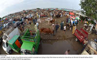 Filename=Pic20-066~24.jpg
Filesize=525KiB
Dimensions=2048x1278
Date added=Jul 20, 2021 Pic20-066~24.jpg