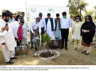 Filename=Pic21-011~27.jpg
Filesize=458KiB
Dimensions=2047x1519
Date added=Sep 21, 2020 Pic21-011~27.jpg