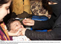 Filename=Pic21-014~27.jpg
Filesize=299KiB
Dimensions=2047x1474
Date added=Sep 21, 2020 Pic21-014~27.jpg