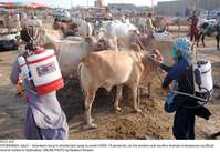 Filename=Pic21-033~25.jpg
Filesize=367KiB
Dimensions=2047x1410
Date added=Jul 21, 2020 Pic21-033~25.jpg