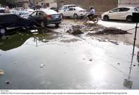 Filename=Pic21-043~19.jpg
Filesize=283KiB
Dimensions=2048x1395
Date added=Feb 21, 2020 Pic21-043~19.jpg