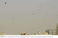 Filename=Pic21-050~19.jpg
Filesize=78KiB
Dimensions=2047x1359
Date added=Feb 21, 2020 Pic21-050~19.jpg