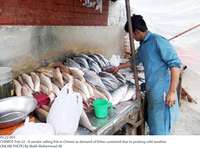 Filename=Pic22-003~8.jpg
Filesize=328KiB
Dimensions=1800x1334
Date added=Feb 22, 2019 Pic22-003~8.jpg