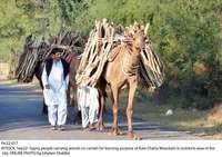 Filename=Pic22-017~15.jpg
Filesize=297KiB
Dimensions=1200x848
Date added=Sep 22, 2019 Pic22-017~15.jpg
