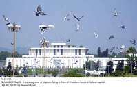 Filename=Pic22-033~15.jpg
Filesize=192KiB
Dimensions=1800x1146
Date added=Sep 22, 2019 Pic22-033~15.jpg