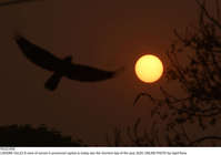 Filename=Pic22-058~26.jpg
Filesize=104KiB
Dimensions=2047x1440
Date added=Dec 22, 2020 Pic22-058~26.jpg