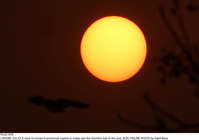 Filename=Pic22-059~25.jpg
Filesize=92KiB
Dimensions=2047x1438
Date added=Dec 22, 2020 Pic22-059~25.jpg