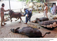 Filename=Pic23-006~34.jpg
Filesize=458KiB
Dimensions=2048x1489
Date added=Jul 23, 2021 Pic23-006~34.jpg