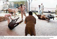 Filename=Pic23-008~32.jpg
Filesize=398KiB
Dimensions=2047x1397
Date added=Jul 23, 2021 Pic23-008~32.jpg