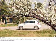 Filename=Pic23-009~19.jpg
Filesize=397KiB
Dimensions=1800x1322
Date added=Feb 23, 2020 Pic23-009~19.jpg
