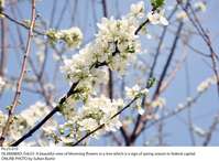 Filename=Pic23-010~18.jpg
Filesize=239KiB
Dimensions=1800x1320
Date added=Feb 23, 2020 Pic23-010~18.jpg