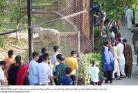 Filename=Pic23-010~32.jpg
Filesize=541KiB
Dimensions=2047x1381
Date added=Jul 23, 2021 Pic23-010~32.jpg